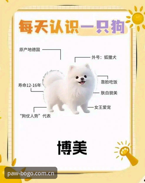博狗靠谱吗 博狗靠谱吗?从多维度全面解析BOGO平台的可信度与使用体验