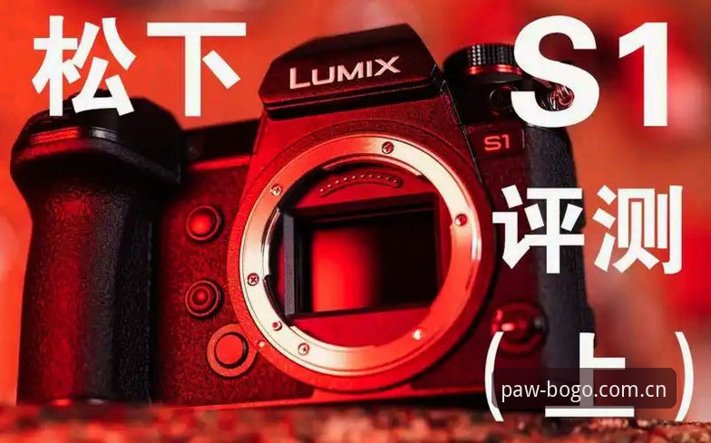 博狗登录入口 博狗体育平台登录入口深度评测:从注册到投注的全链路体验分析