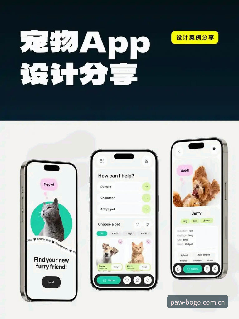 博狗移动端官网使用指南 博狗APP下载 vs 手机版网页:哪种方式更适合你?博狗移动端官网使用指南