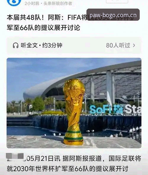 博狗手机版 2030年世界杯或扩军至66队:中国男足入局指南与市场前景分析