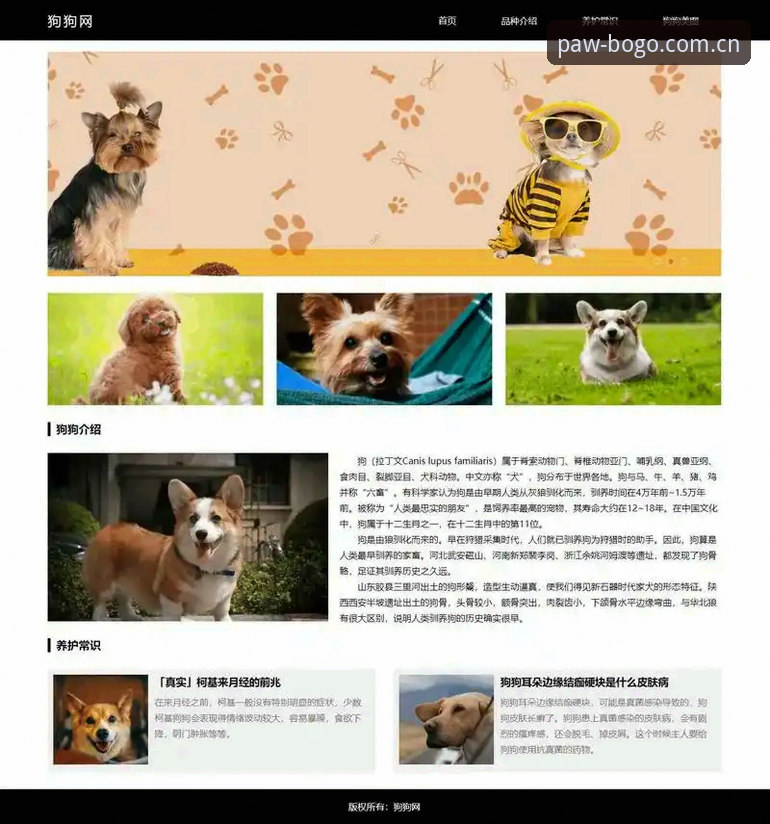 博狗移动端官网使用指南 博狗APP下载 vs 手机版网页:哪种方式更适合你?博狗移动端官网使用指南